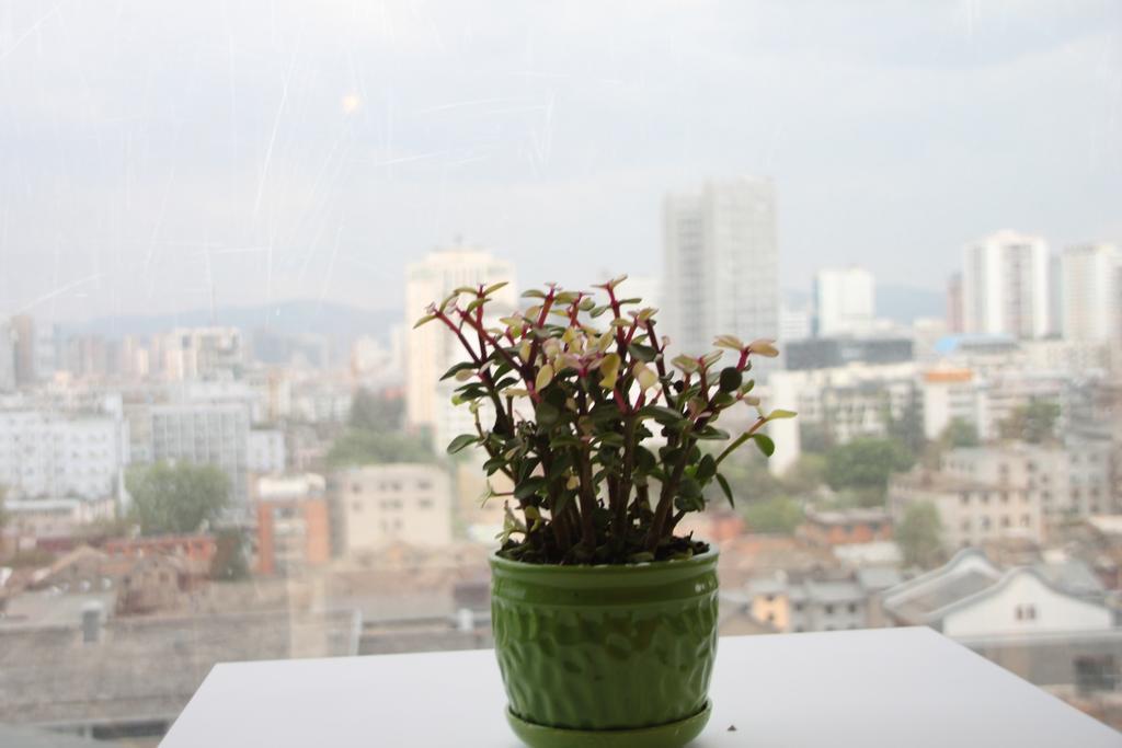 Kunming Cat Nest Female Youth Hostel エクステリア 写真
