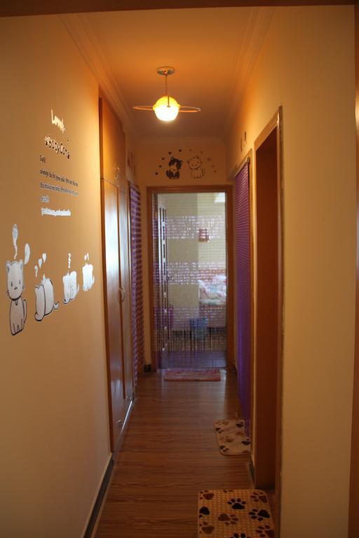 Kunming Cat Nest Female Youth Hostel エクステリア 写真
