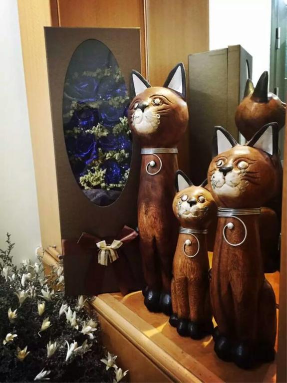 Kunming Cat Nest Female Youth Hostel エクステリア 写真
