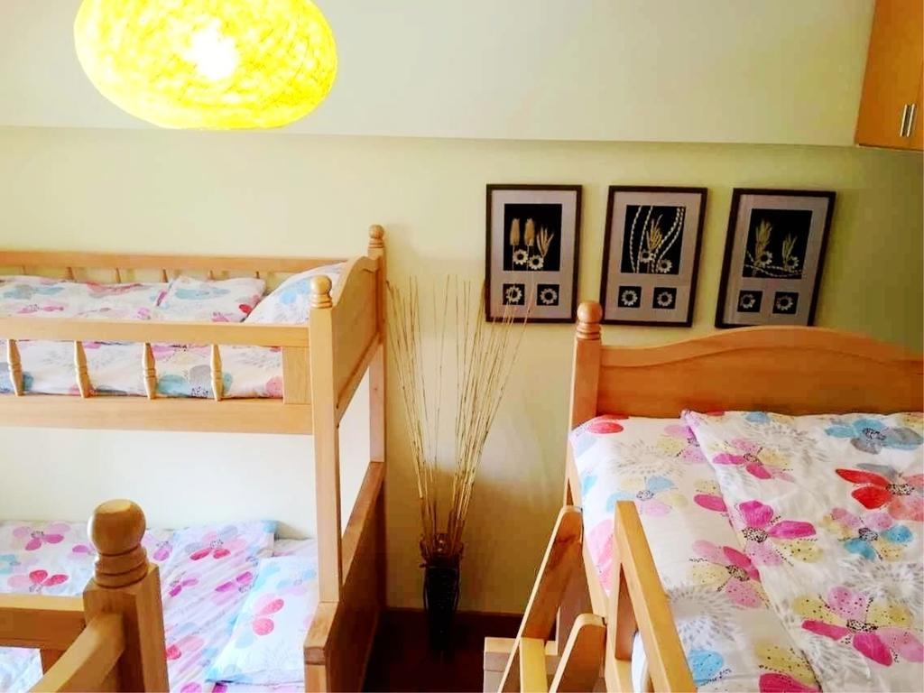 Kunming Cat Nest Female Youth Hostel エクステリア 写真